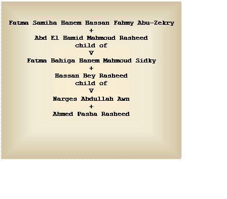 Text Box: Fatma Samiha Hanem Hassan Fahmy Abu-Zekry
+
Abd El Hamid Mahmoud Rasheed
child of
V
Fatma Bahiga Hanem Mahmoud Sidky
+
Hassan Bey Rasheed
child of
V
Narges Abdullah Awn
+
Ahmed Pasha Rasheed

