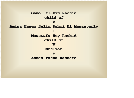 Text Box: Gamal El-Din Rachid
child of
V
Amina Hanem Selim Rahmi El Manasterly
+
Moustafa Bey Rachid
child of
V
Mesliar
+
Ahmed Pasha Rasheed


