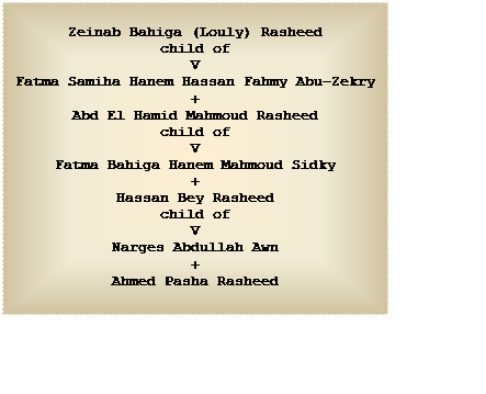 Text Box: Zeinab Bahiga (Louly) Rasheed
child of
V
Fatma Samiha Hanem Hassan Fahmy Abu-Zekry
+
Abd El Hamid Mahmoud Rasheed
child of
V
Fatma Bahiga Hanem Mahmoud Sidky
+
Hassan Bey Rasheed
child of
V
Narges Abdullah Awn
+
Ahmed Pasha Rasheed


