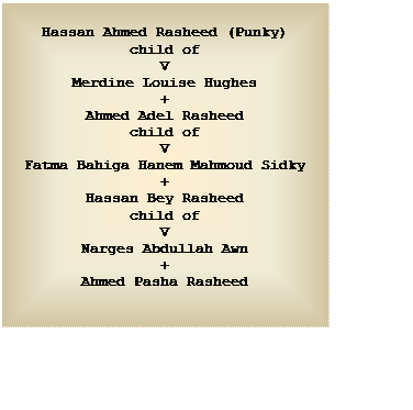 Text Box: Hassan Ahmed Rasheed (Punky)
child of
V
Merdine Louise Hughes
+
Ahmed Adel Rasheed
child of
V
Fatma Bahiga Hanem Mahmoud Sidky
+
Hassan Bey Rasheed
child of
V
Narges Abdullah Awn
+
Ahmed Pasha Rasheed


