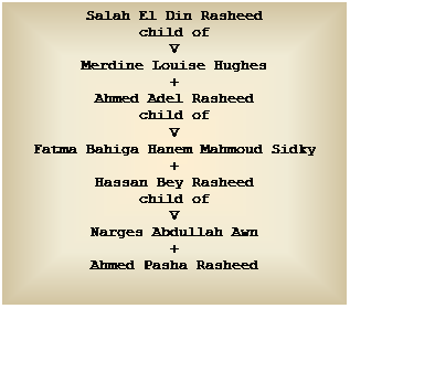 Text Box: Salah El Din Rasheed
child of
V
Merdine Louise Hughes
+
Ahmed Adel Rasheed
child of
V
Fatma Bahiga Hanem Mahmoud Sidky
+
Hassan Bey Rasheed
child of
V
Narges Abdullah Awn
+
Ahmed Pasha Rasheed


